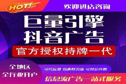信息流广告投放策略优化：实战案例与数据支撑